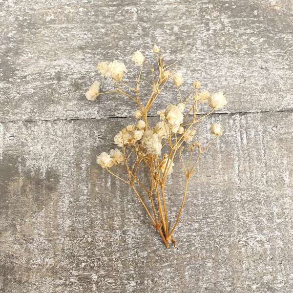 bomboniera cresima tisana